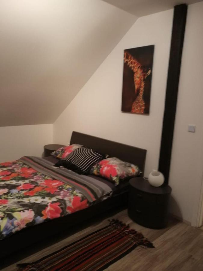 Issy View House Villa Senovo Exterior photo